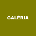 GALRIA